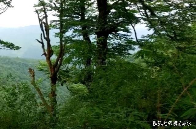 逃离幻想屋