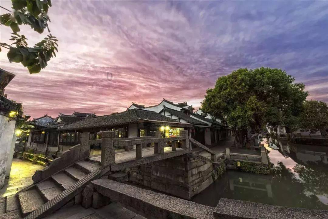 “门前种三树,家兴旺三代”,指得哪三种树?有钱人都在种!